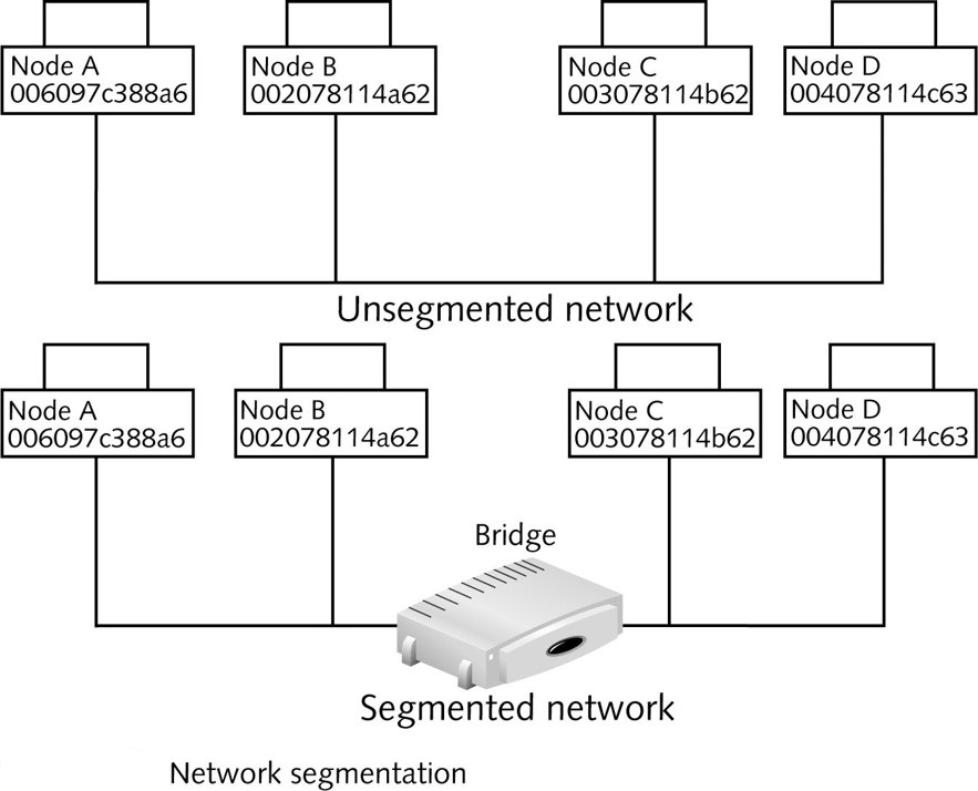 Network Segment Network Segment